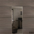 Скрытая дверь Pro Design Glass межкомнатная зеркало бронза, графит внутреннего открывания 3349